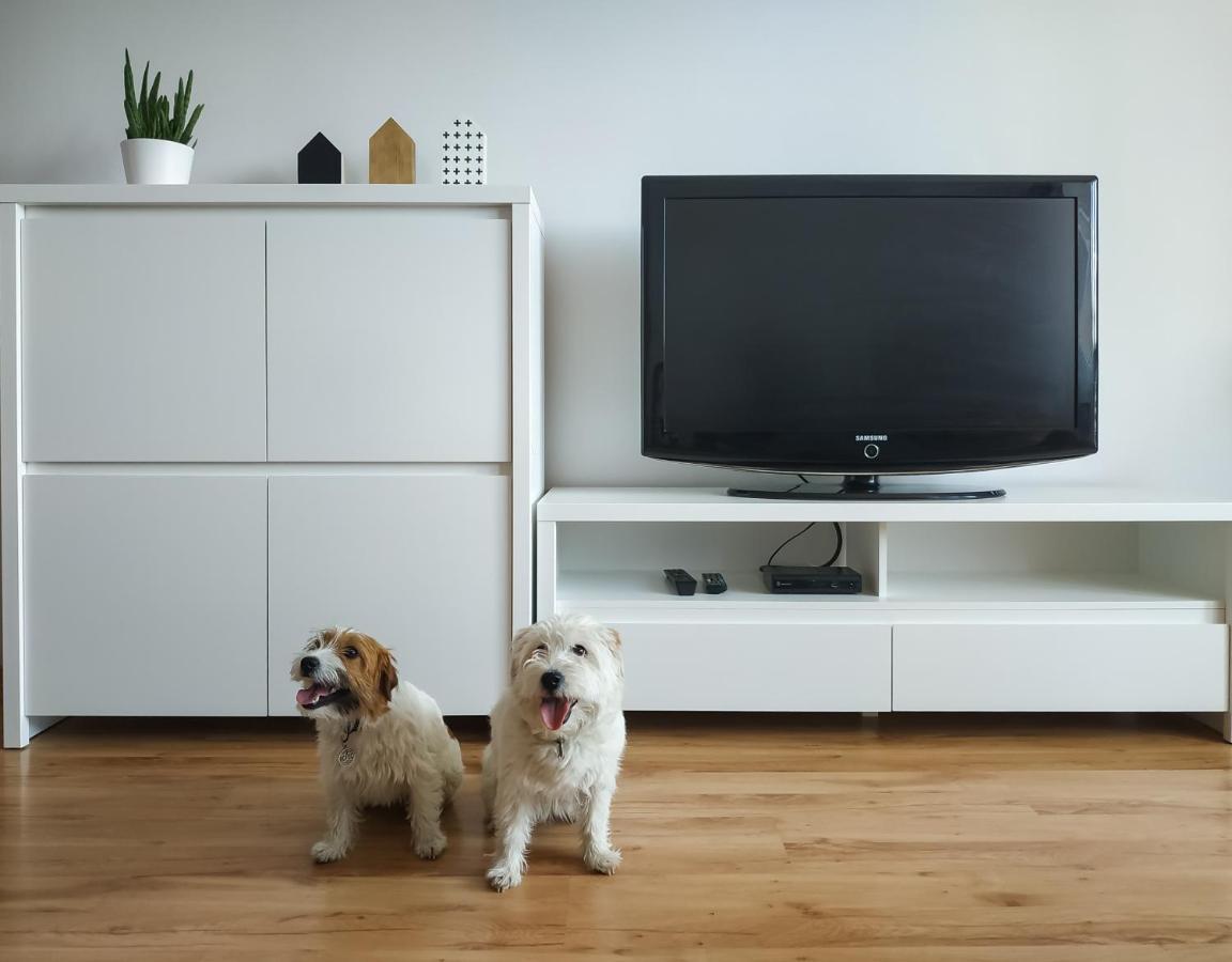 Uroczy Apartament Pod Skarpa Wadowice Kültér fotó